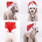 Dog and Cat Christmas Hat